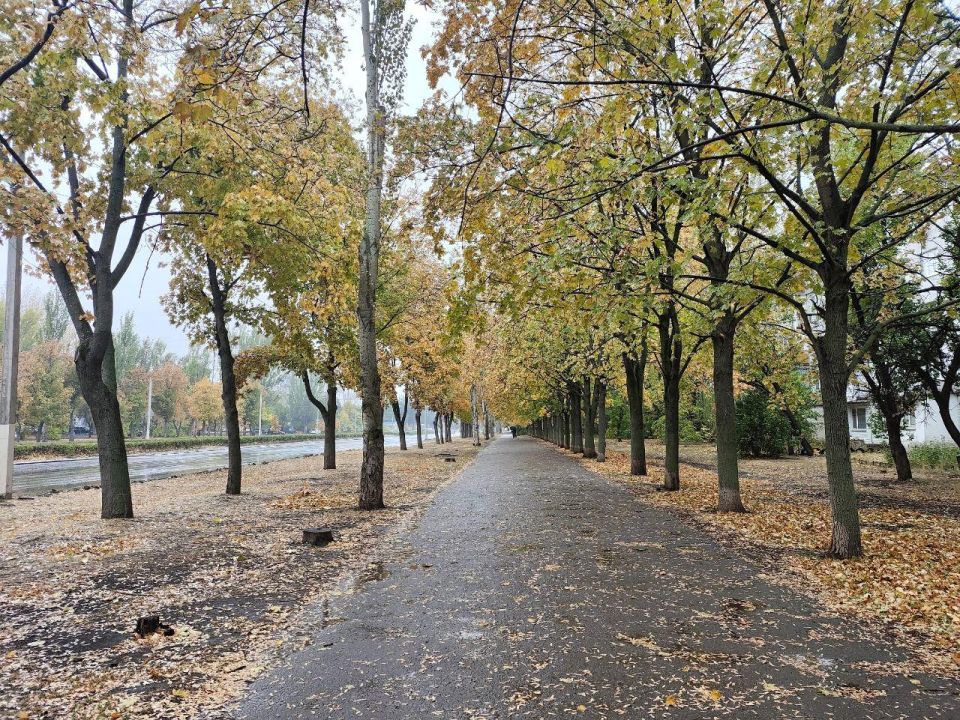 ������ � ��������: ����������� �� ���� �����