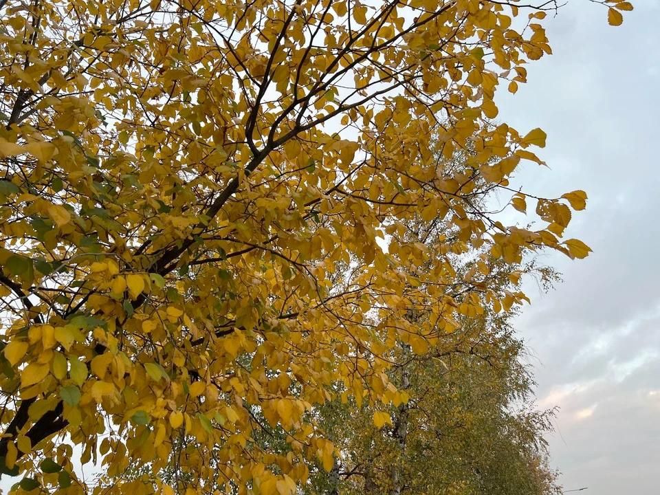 15 ������� ������� ��� ����������� �����