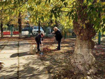 ����������� �������� ���� �� �������� ����� ����������� ������� "������� ������"