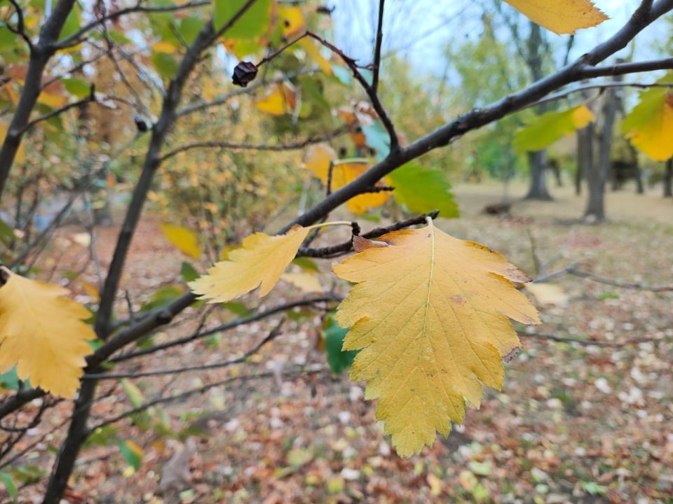 ������ � ��������: ���������� �� +16�� ����