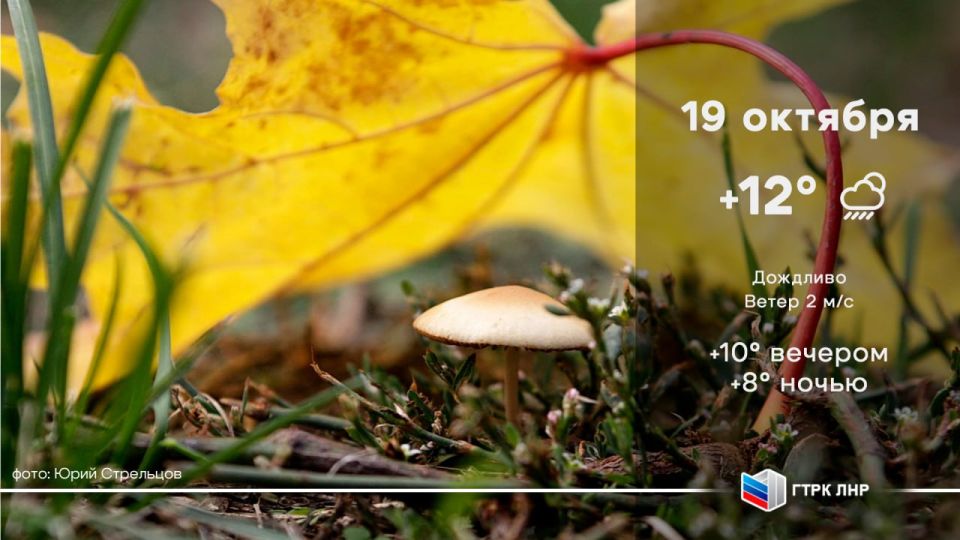 ������ ����, ��������� �������� ����������!