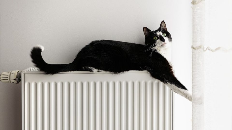 � �������� ������� ������������ �����