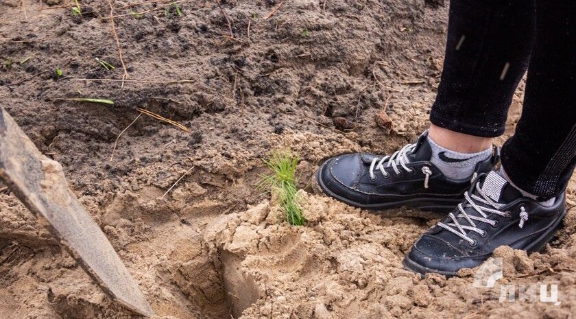 ���� ������ �������� ��� ����� 85 ���. �������� ��� ������� �������� �� ����� ����