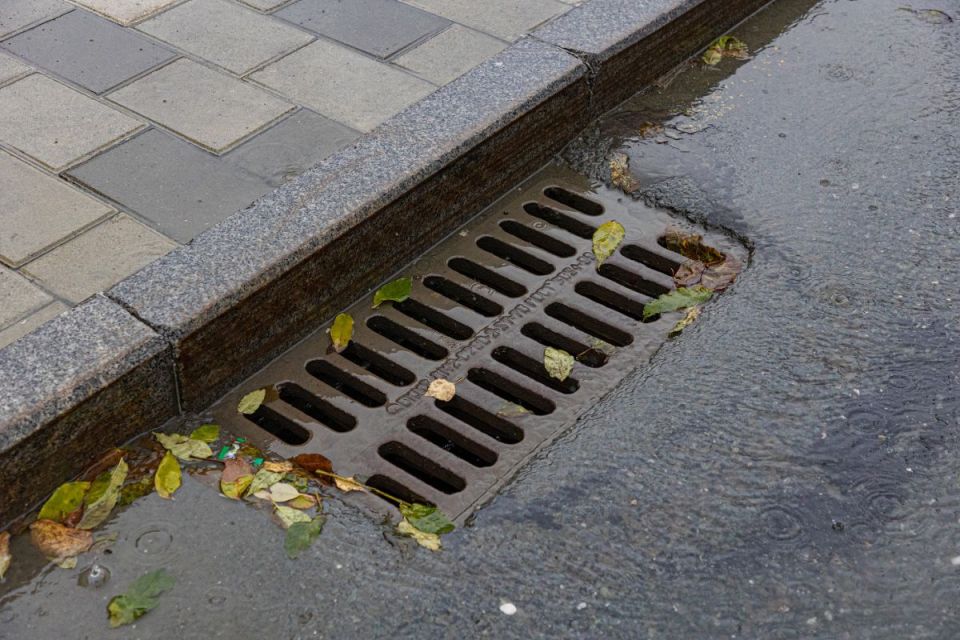 � �������� ��������� ��������� ����� ������� ��������