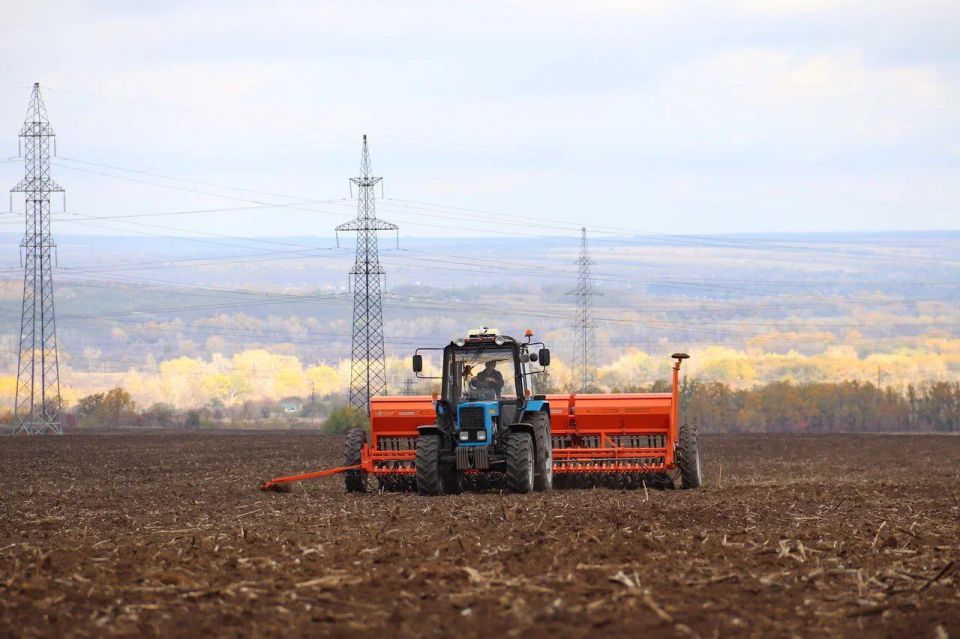 В ЛНР продолжается осенняя посевная кампания