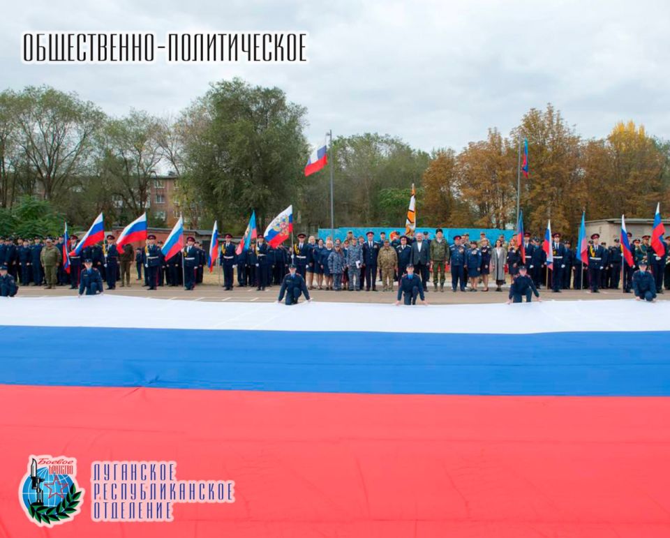 29            ,         ...