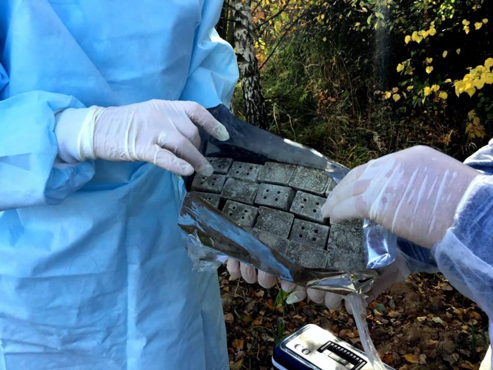 � ���������� ������� ����������� �� ���������� ����� ���������� �������� ������ ��������� �� ���������� ��������� �������� ����������