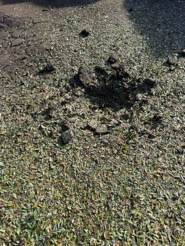 � ���������� ������ �� ������������ ������������ �������