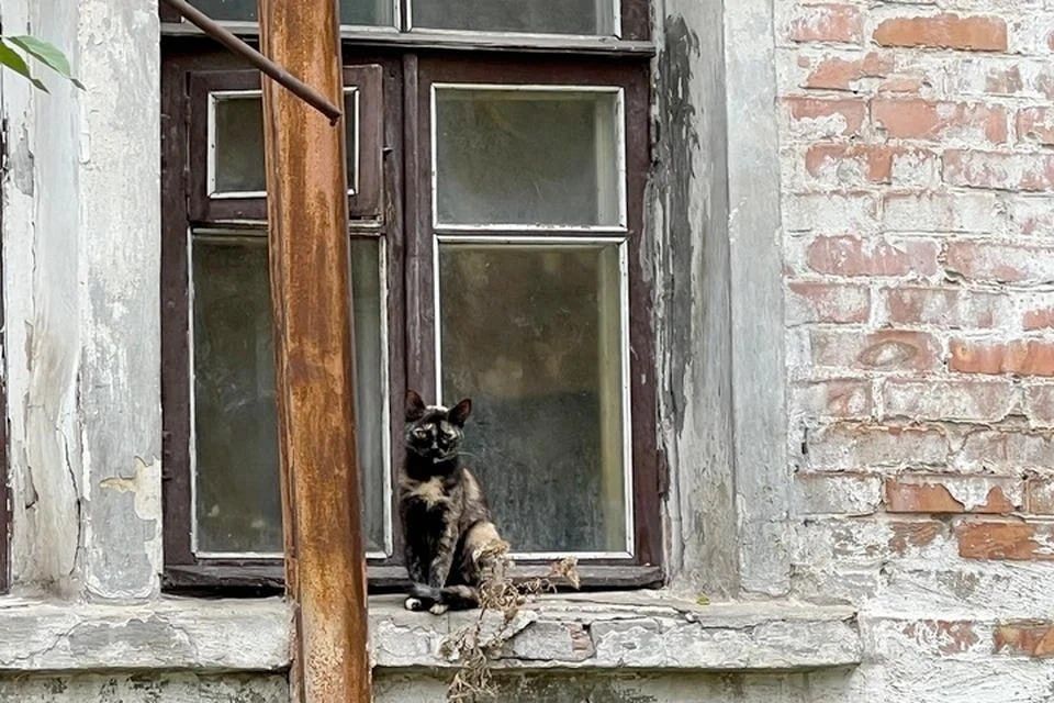 ��� �������� 1,25 ���� ������ �� ����������� 496 ������� �� ������� �����