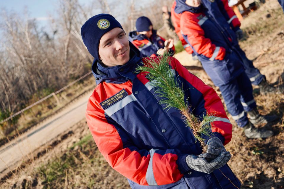    .                . .        