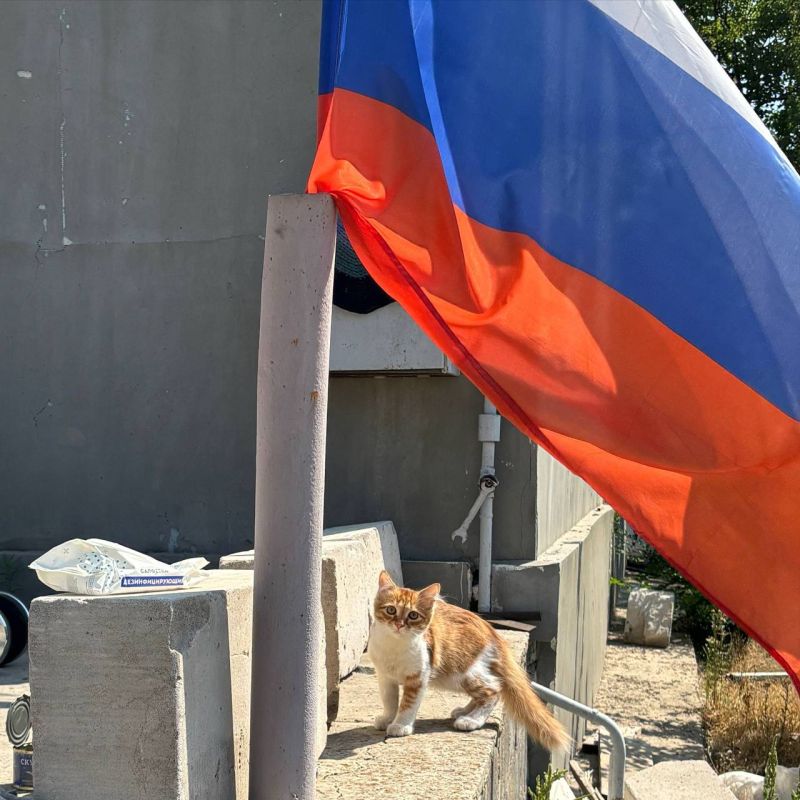 ������ ������ ������������� ���������� ����