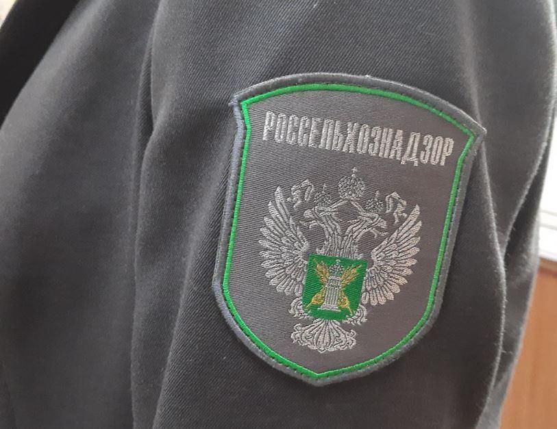 ��������, ������� ���! ��������� ������� �������������������� �����