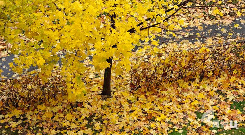 ��������� ������������ 24 ������� � ��� �� 16 �������� �����, ������� ����� � �����