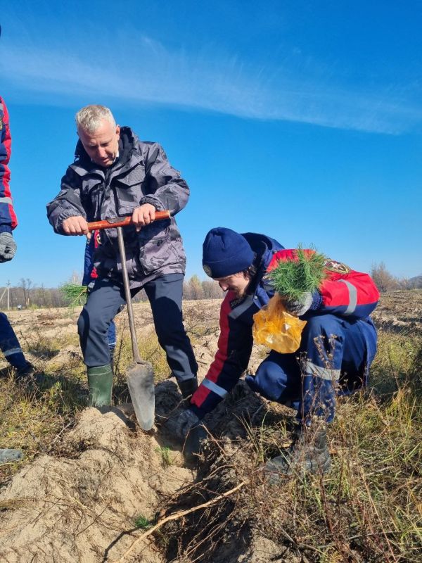 Тушить лесные пожары невероятно сложно