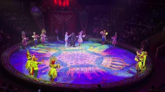 В Луганске прошла премьера шоу от "Королевского цирка Гии Эрадзе"