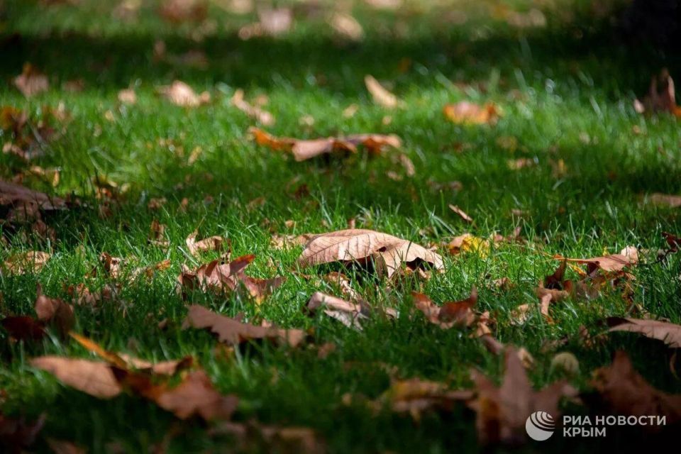 ������ �� ����� ����������� ������