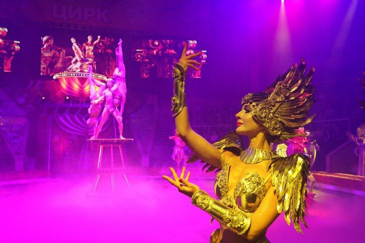Акробаты, жонглёры и гимнасты: В ЛНР стартовало цирковое шоу «Золотой сезон»