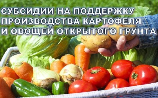 �������� �������� ����������������� ��������� ��������� �������� ���������� �� ��������� ������