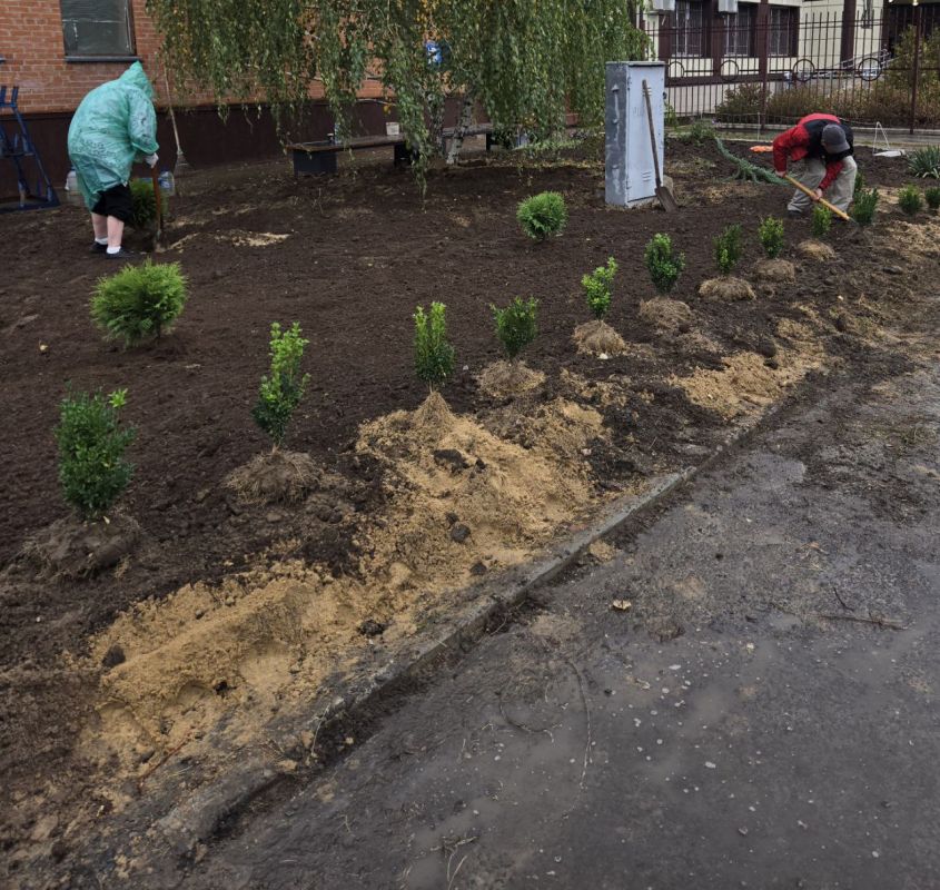 Экологическая инициатива наших сотрудников