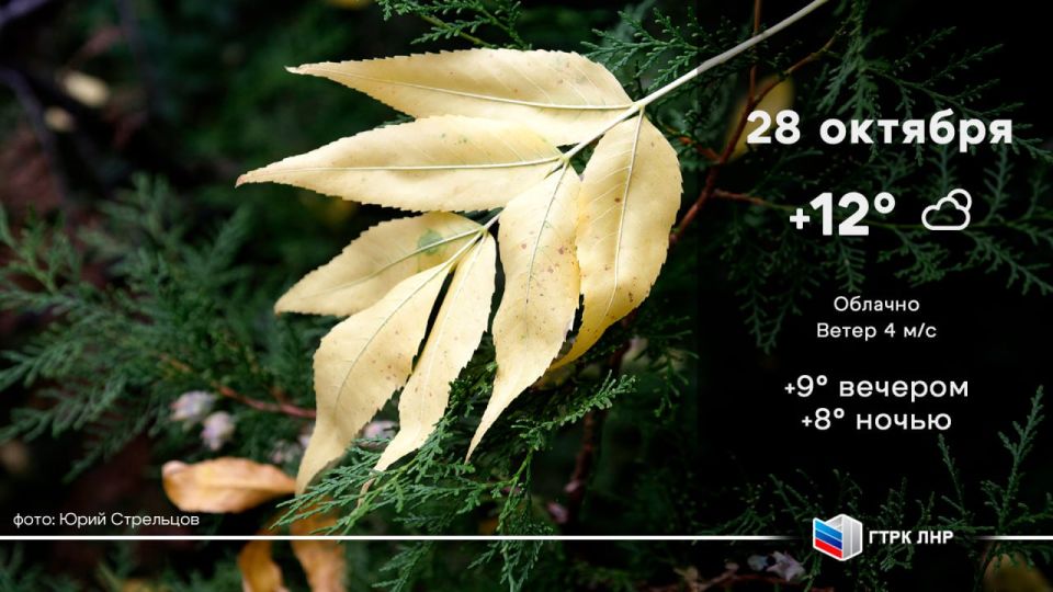 Доброе утро, Луганская Народная Республика!