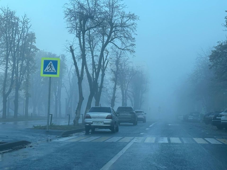 � �������� �������. ������ ���������