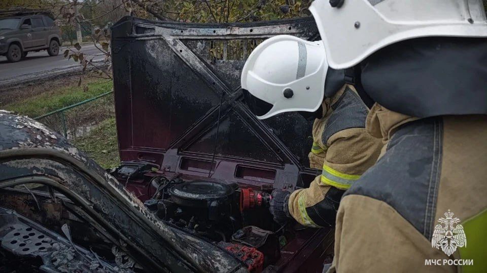 � �������� ������� ����� ������ ����������