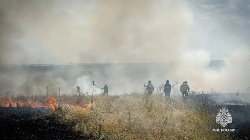 Пять пожаров потушили в ЛНР за сутки