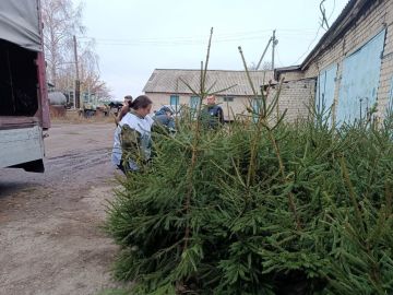 Автономная некоммерческая организация «Сад Памяти» передала Минприроды ЛНР 1500 саженцев деревьев
