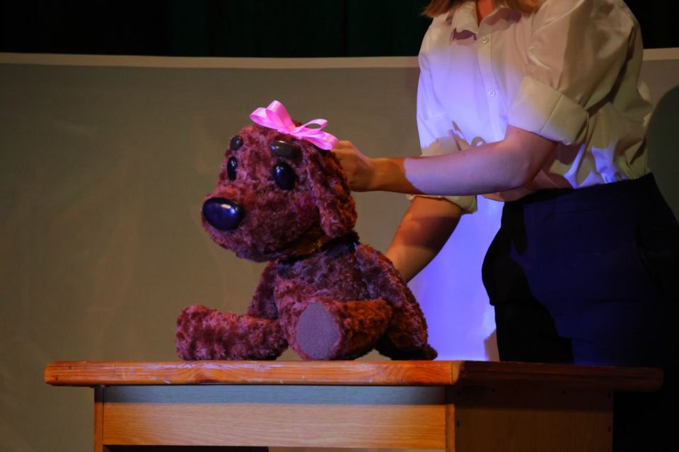 В Луганском академическом музыкально-драматическом театре имени М. Голубовича состоялась премьера детского кукольно-драматического спектакля «Умная собачка Соня»