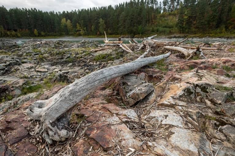  120           - 2025