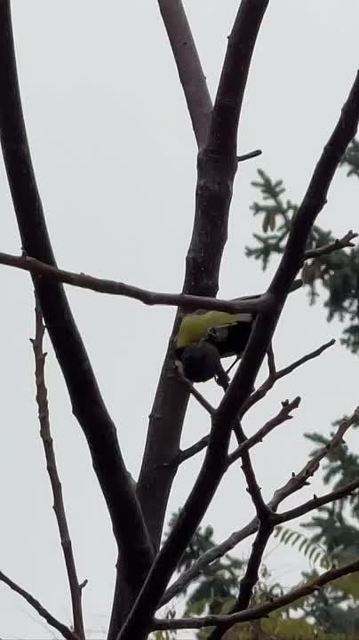 Синоптики прогнозируют 20 ноября в ЛНР от минус 1 градуса ночью до плюс 11 градусов днем, ночью местами сильный дождь, в северных районах — с мокрым снегом, налипание мокрого снега, гололедица, утром и днем местами туман