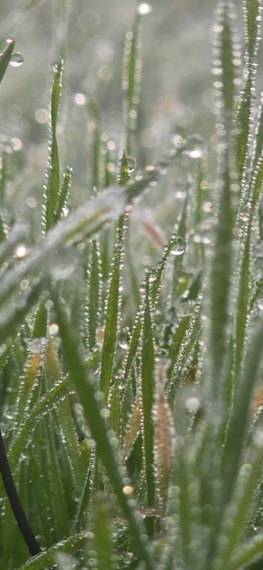   22      4    15   ,   ,          ,    