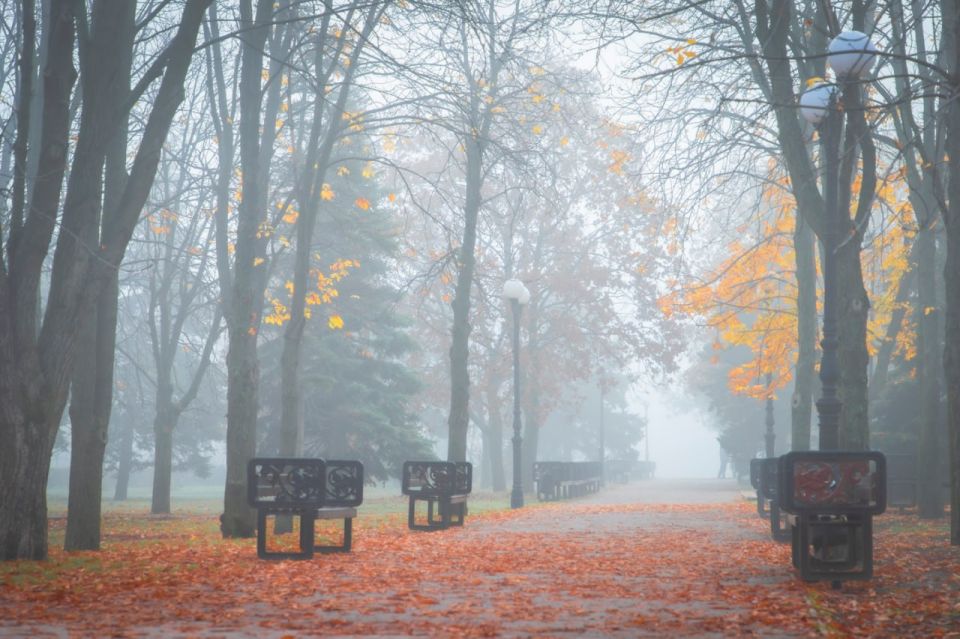   23      3    15   ,     ,   