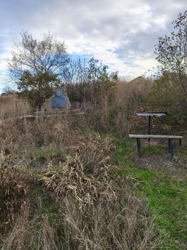  :   .  !,         ,   ,          ...