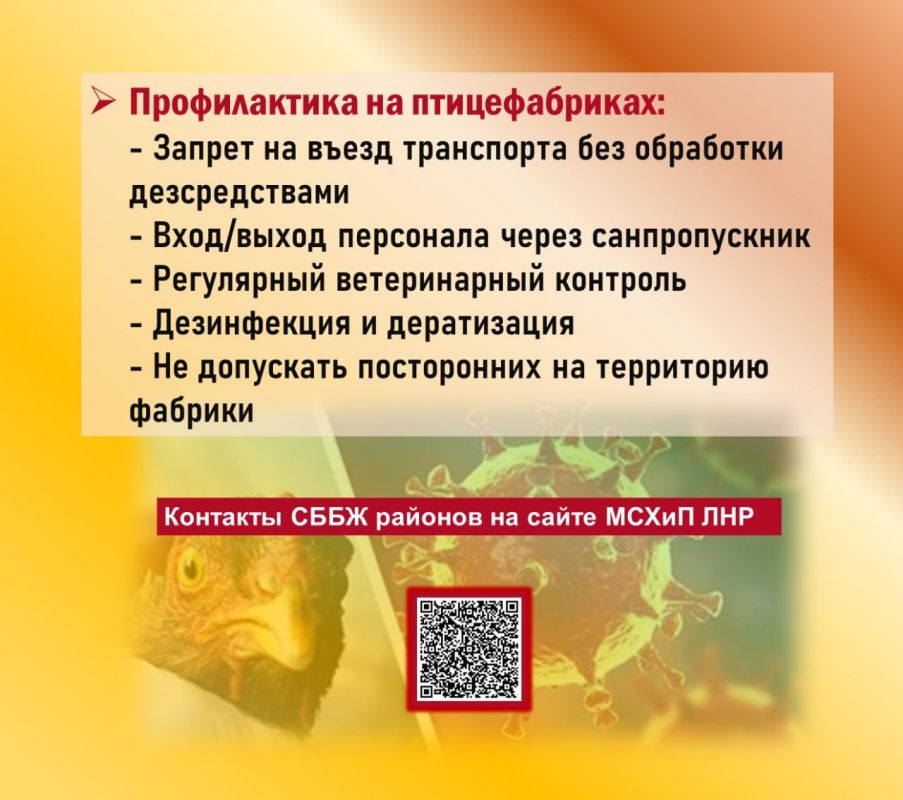 ВНИМАНИЕ: Высокопатогенный грипп птиц