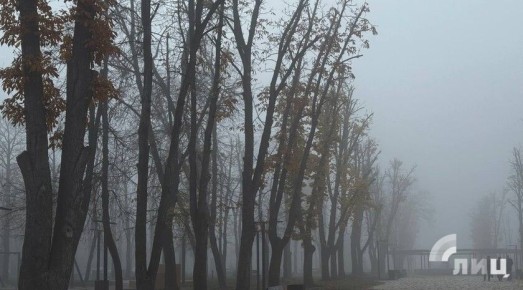 Синоптики прогнозируют 29 ноября в ЛНР до 11 градусов тепла, местами дождь, туман