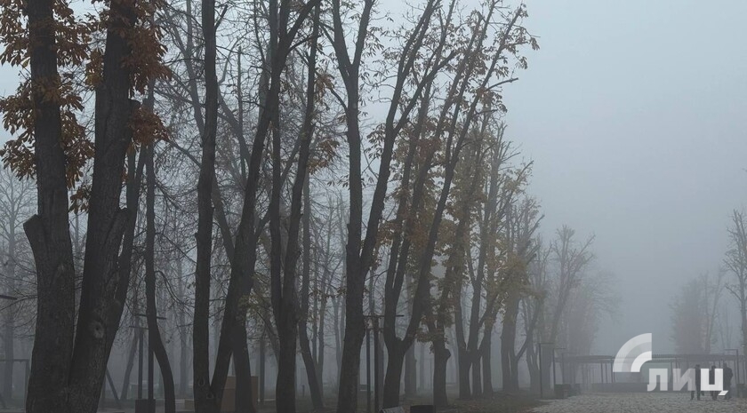 Синоптики прогнозируют 29 ноября в ЛНР до 11 градусов тепла, местами дождь, туман