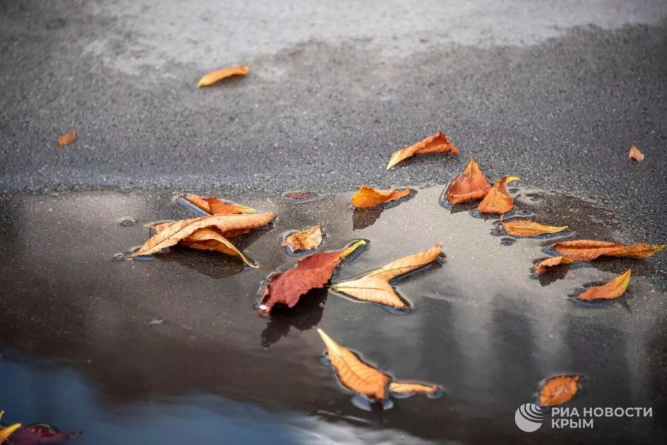 ������ �� ����� ����������� ������