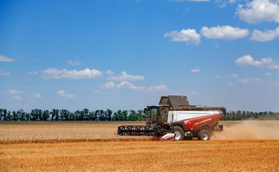 ������� ������ ������ ������������� ����������� ���