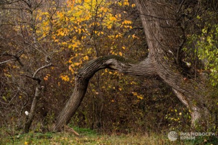 Погода на новых территориях России