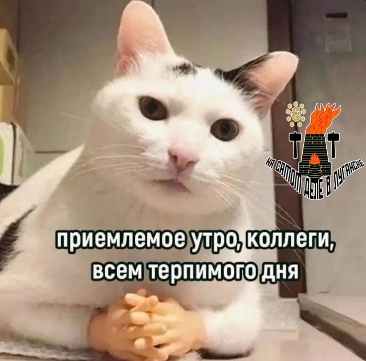 ��������! ��� � ������ ������ �������� ������