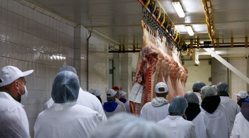 Мирошниченко организовал для молодежи экскурсию на Луганский мясокомбинат