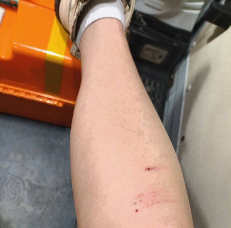 ��������� ������� �������� �� ��������: ������� ������ ����� ������ �� �������� � �������