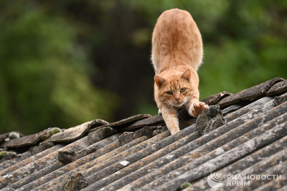 ������ �� ����� ����������� ������