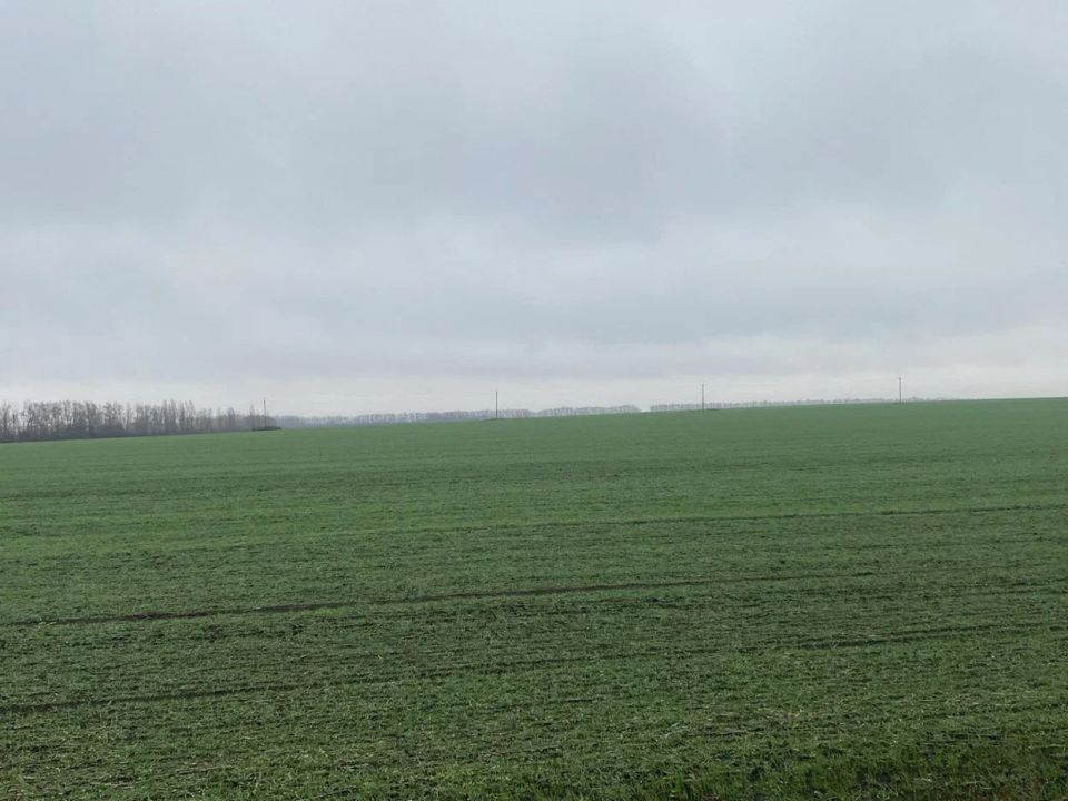 ������ � ��� ������� ������ � ����: �������� ���� ������������� �������