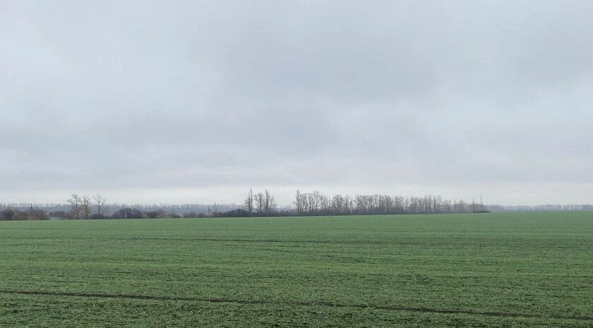 Россельхозцентр оценил состояние озимых в ЛНР