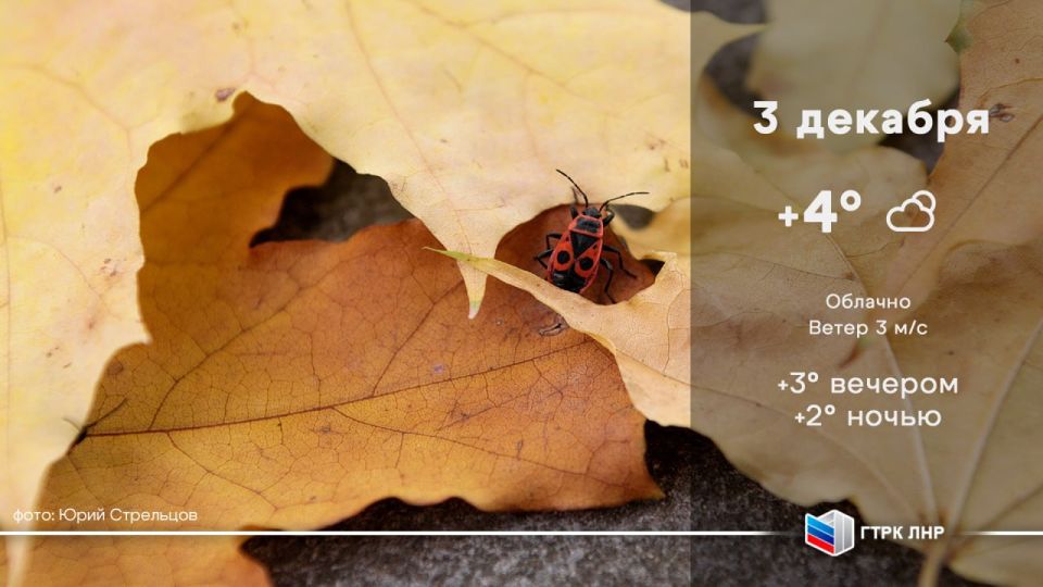 ������ ����, ��������� �������� ����������!