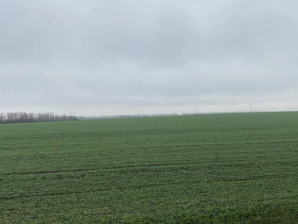 ������ �������: ������ � ��� ������� ������ � ����: �������� ���� ������������� �������