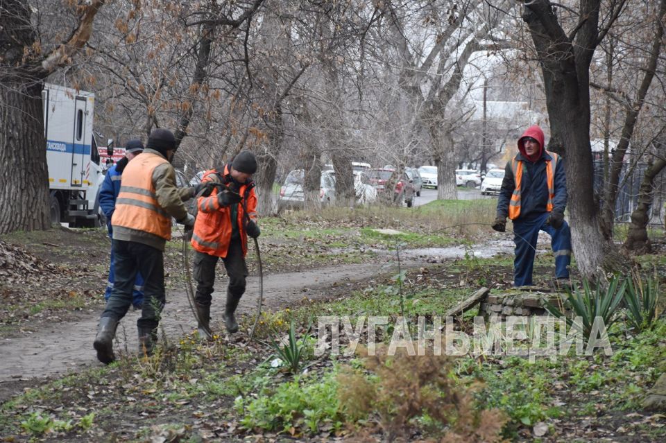 ���������� ������������� ��������� ����� ����������� � ���������� ���������������� ���� � ��������