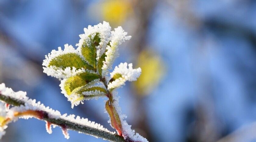 ��������� ������������ 6 ������� � ��� �� 5 �������� �����, ����, ����������